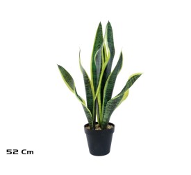 MACETA SENSEVERIA X 8 C/PIEDRAS 52 CM