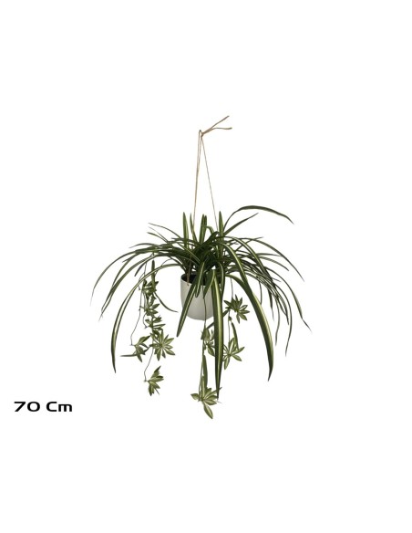 MACETA COLGAR CINTAS 70 CM