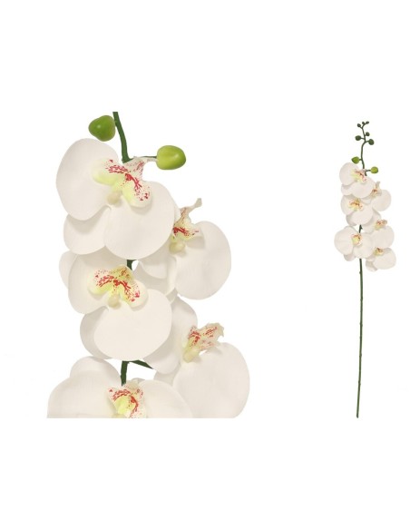 VARA ORQUIDEA X 6 R/TOUCH-76 CM (BLANCO)
