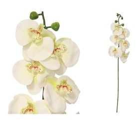 VARA ORQUIDEA X 6 R/TOUCH-76 CM (CREMA)