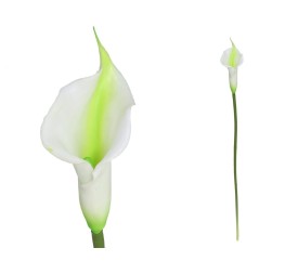 VARA CALA LATEX-60 CM (VERDE)