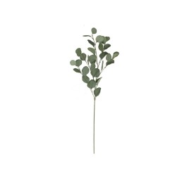 VARA EUCALIPTO X4 X30-90CM (VERDE/CL)