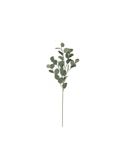 VARA EUCALIPTO X4 X30-90CM (VERDE/CL) VARA EUCALIPTO X4 X30-90CM (VERDE/CL)