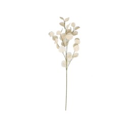 VARA EUCALIPTO X4 X30-90CM (BEIGE)