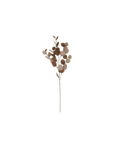 VARA EUCALIPTO X4 X30-90CM (OCRE) VARA EUCALIPTO X4 X30-90CM (OCRE)