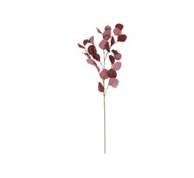 VARA EUCALIPTO X4 X30-90CM (ROJO)