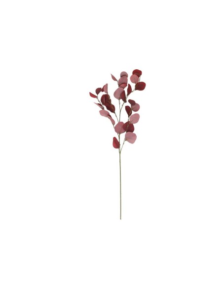 VARA EUCALIPTO X4 X30-90CM (ROJO)