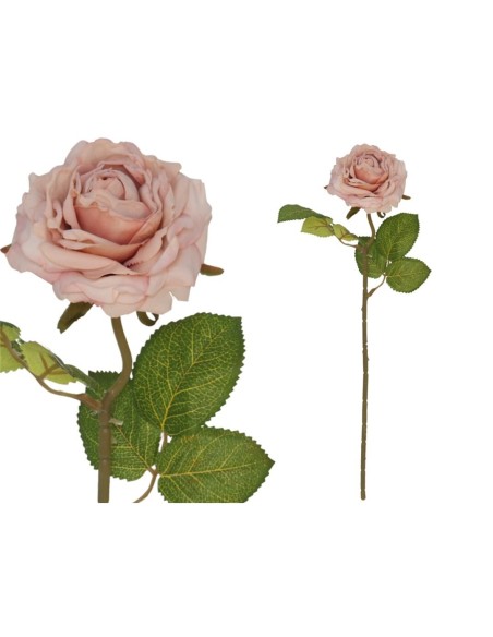 VARA ROSA DRIED -50 CM (ROSA)