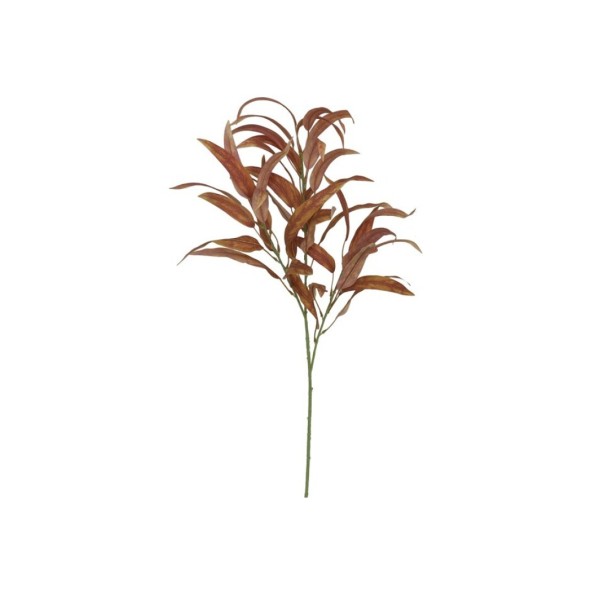 VARA EUCALIPTO -78CM (MARRON)