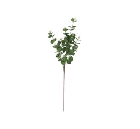 VARA EUCALIPTO X11 X90-90CM (VERDE)