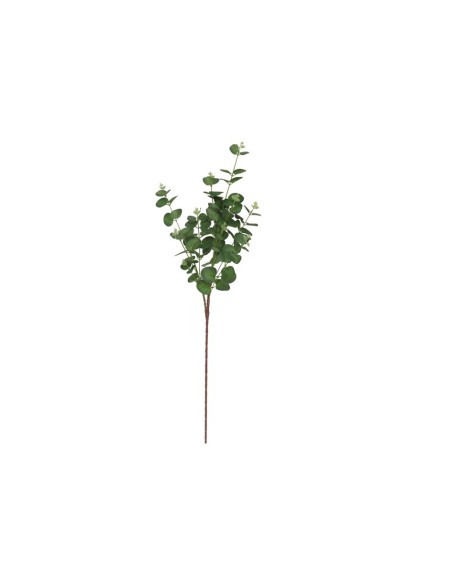 VARA EUCALIPTO X11 X90-90CM (VERDE)