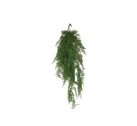 COLGANTE LADY FERN X 5-107 CM