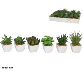MACETA PLAST SUCULENTAS 11-15 CM (S)