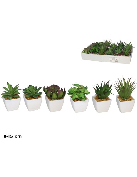 MACETA PLAST SUCULENTAS 11-15 CM (S)