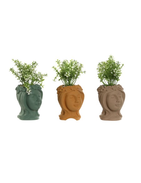 PLANTA PE CEMENTO 9,5X10X20 MUJER 3 SURT.