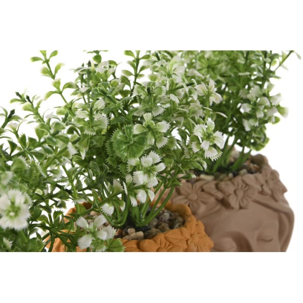 PLANTA PE CEMENTO 9,5X10X20 MUJER 3 SURT.