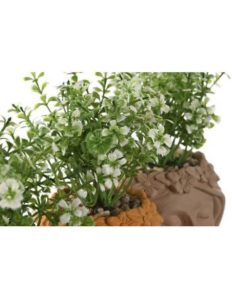 PLANTA PE CEMENTO 9,5X10X20 MUJER 3 SURT.