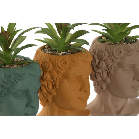 PLANTA PE CEMENTO 10,5X10,5X18,5 HOMBRE 3 SURT.