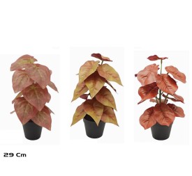 MACETA 15 LVS REAL TOUCH-29 CM  (SURTIDO)