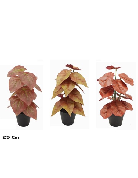 MACETA 15 LVS REAL TOUCH-29 CM  (SURTIDO)