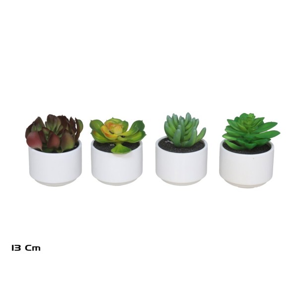 MACETA CERAMICA SUCULENTAS  13 CM (S)