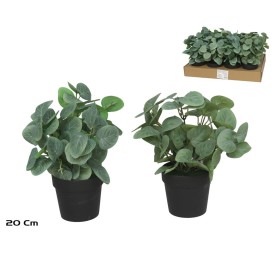 MACETA PLASTICO EUCALYPTUS 20 CM (S)