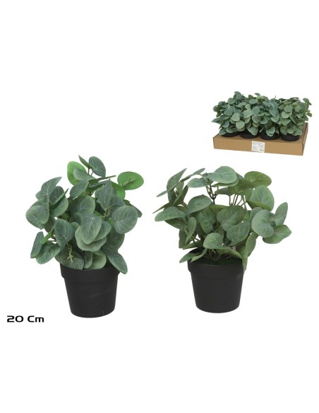 MACETA PLASTICO EUCALYPTUS 20 CM (S)