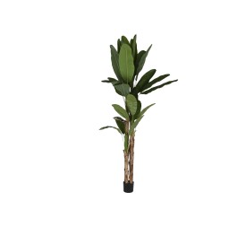 PLANTA PE CEMENTO 90X90X290 BANANERO VERDE
