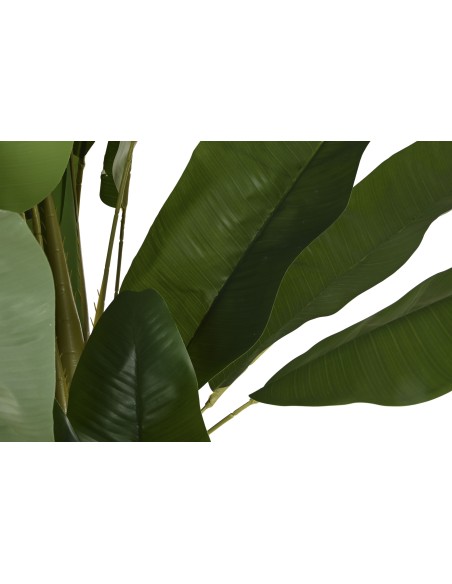 PLANTA PE CEMENTO 90X90X290 BANANERO VERDE