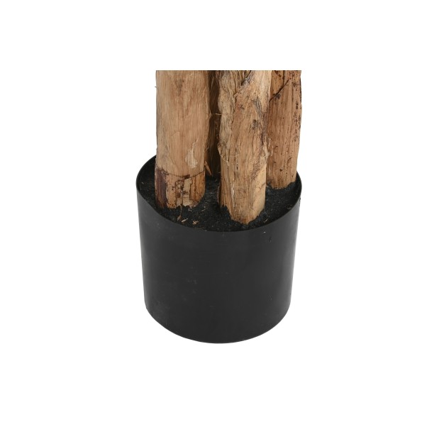 PLANTA PE CEMENTO 90X90X290 BANANERO VERDE