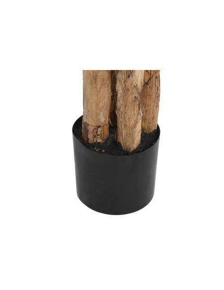 PLANTA PE CEMENTO 90X90X290 BANANERO VERDE