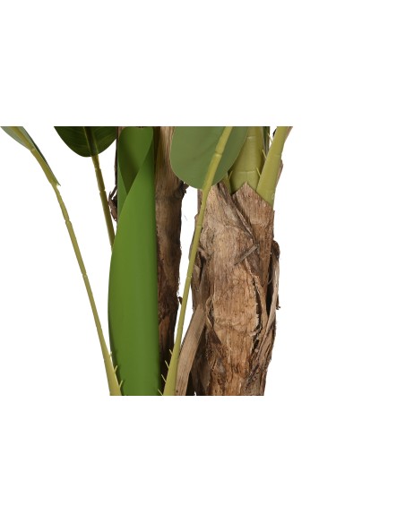 PLANTA PE CEMENTO 90X90X290 BANANERO VERDE