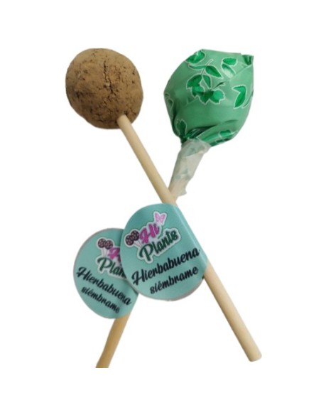 CAPSULAS SEMILLAS PLANTABLE HIERBABUENA