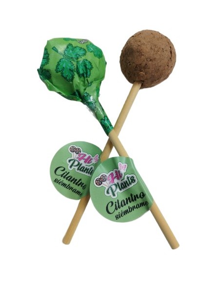 CAPSULA SEMILLA PLANTABLE CILANTRO