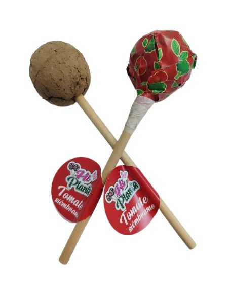 CAPSULA SEMILLAS TOMATE PLANTABLE