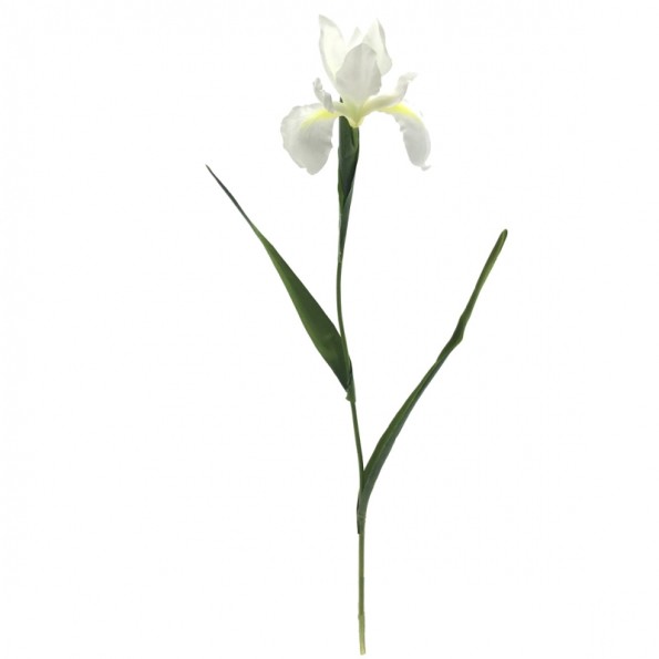 IRIS 78 CMS (2046-01)