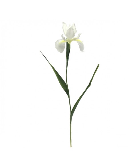 IRIS 78 CMS (2046-01)