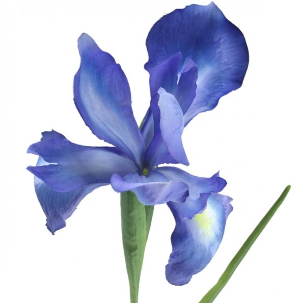 IRIS 78 CMS (2046-10)