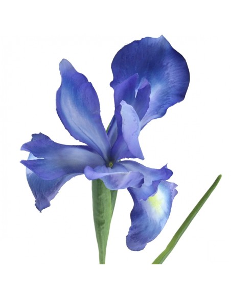 IRIS 78 CMS (2046-10)