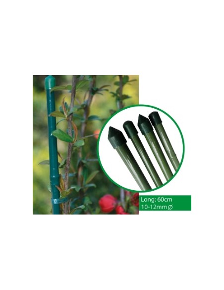 TUTOR BAMBU 60CM D10-12MM