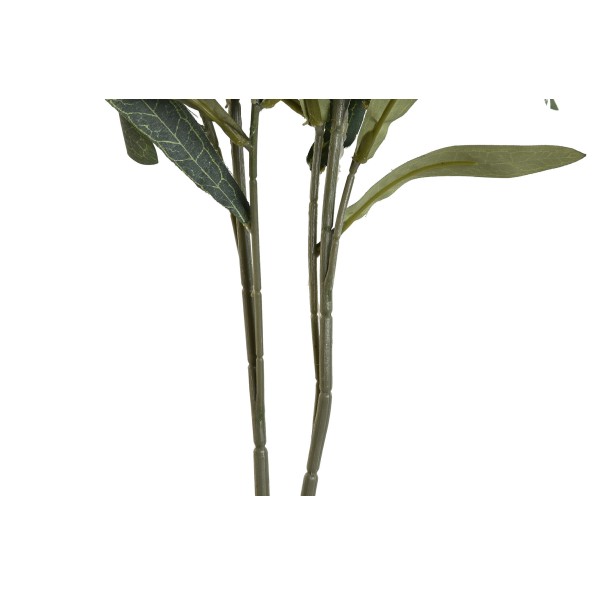 RAMA PE 30X30X90 OLIVO 2 SURT.