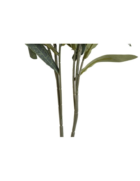 RAMA PE 30X30X90 OLIVO 2 SURT.