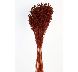 BRIZA MAXIMA 50 cms. ROJO (59)