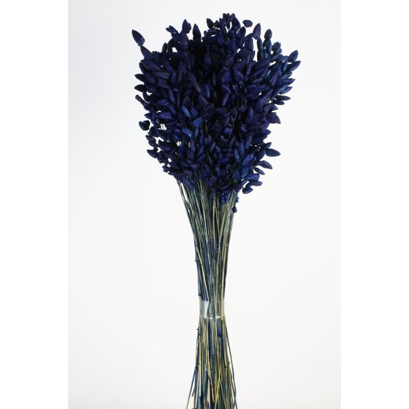 BRIZA MAXIMA 50 cms. AZUL (73)