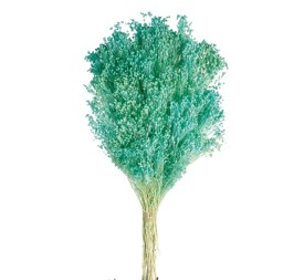 BROOMS BLOOMS 50 cms. AZUL (75)