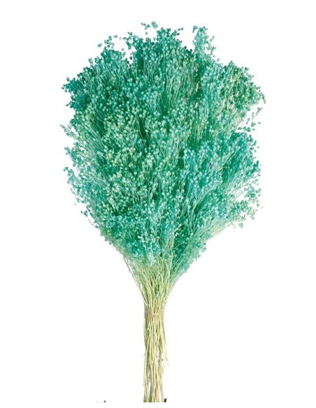 BROOMS BLOOMS 50 cms. AZUL (75)