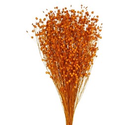 LINO 50 cms. NARANJA (29)