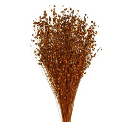 LINO 50 cms. MARRON (37)