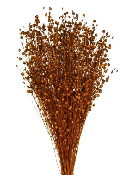 LINO 50 cms. MARRON (37)