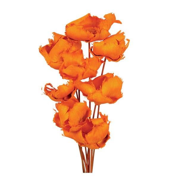 PALM CAP 40 cms. x 8/10 cms. NARANJA (22)